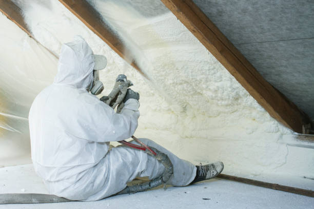 Best Eco-Friendly or Green Insulation Solutions  in Boulder, CO