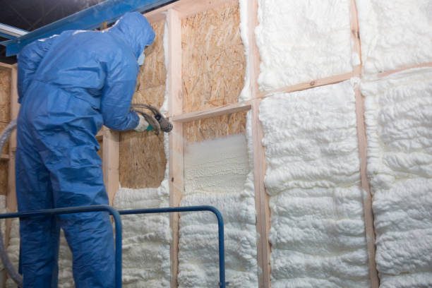 Best Blown-In Insulation  in Boulder, CO